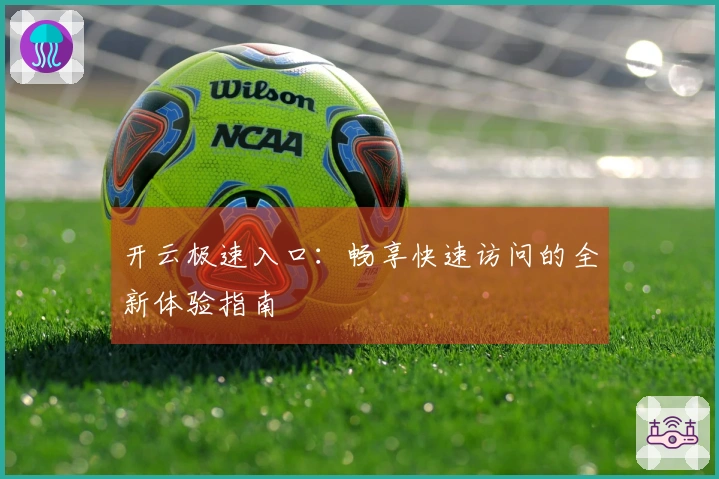 开云极速入口:畅享快速访问的全新体验指南